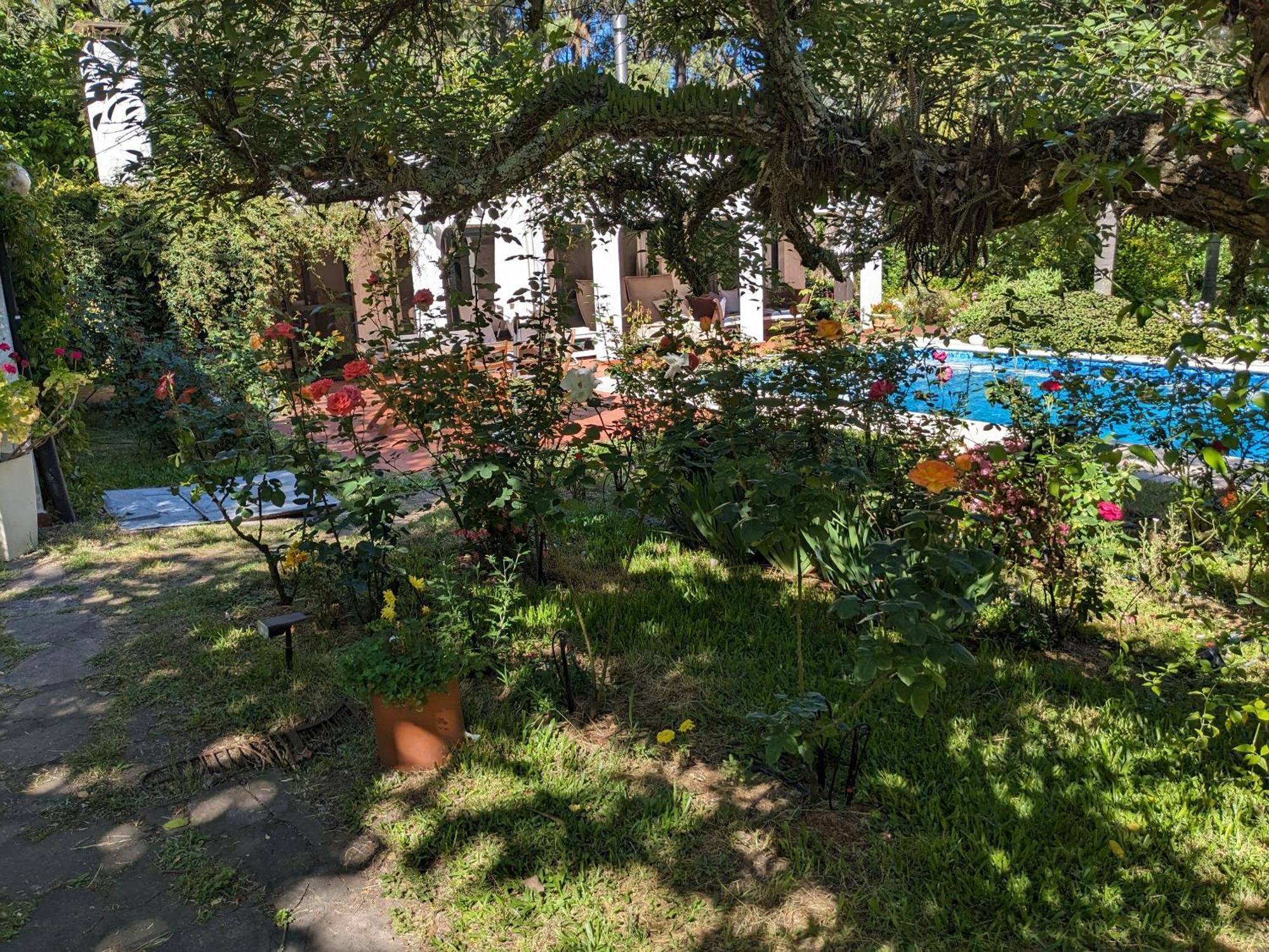 Отель Casa Pura Vida Пунта-Бальена Экстерьер фото